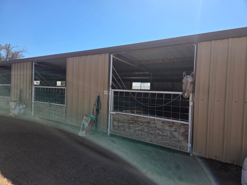 Stalls at Top Notch Farms